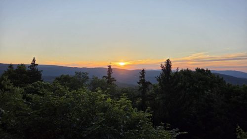 PHOTO-2026-07-15-17-48-03 2